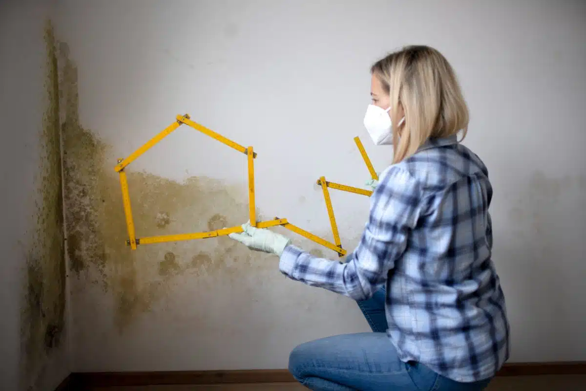 Traces de moisissures sur le mur d'une maison